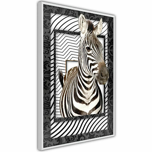 Paris Prix Affiche Murale Encadrée Zebra in the Frame 30 x 45 cm Blanc