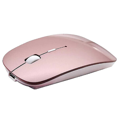 Universal Souris Bluetooth rechargeable pour souris Bluetooth sans fil pour ordinateur portable Mac