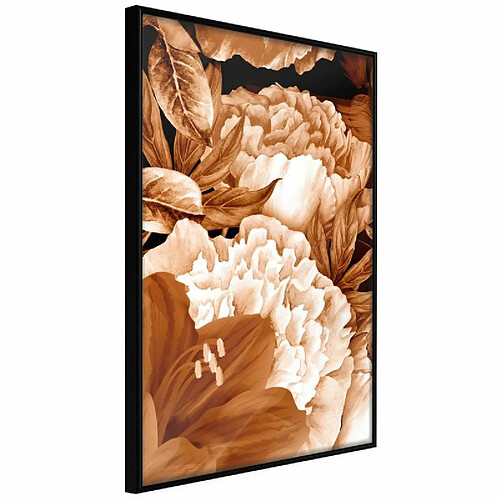 Paris Prix Affiche Murale Encadrée Peonies in Sepia 40 x 60 cm Noir