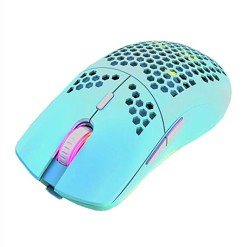 Yonis Souris Gaming Sans Fil RGB Ultra Légère