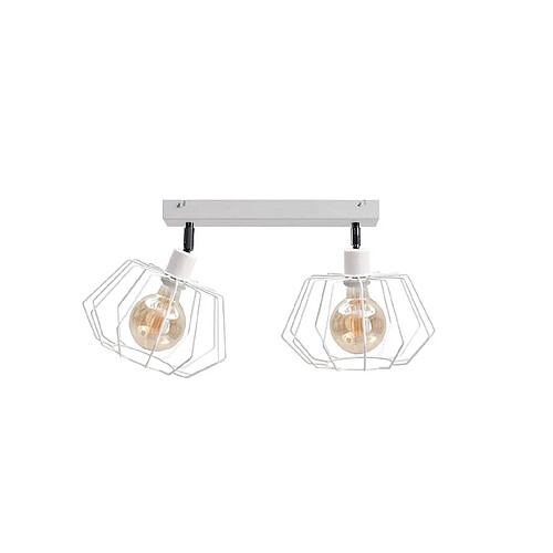 Lumière Plafonnier Luna Twin Blanc, 50cm, 2x E27