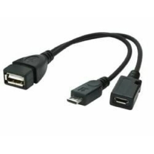 Gembird A-OTG-AFBM-04 adaptateur et connecteur de câbles Micro USB-B USB-A Noir (Gembird cable USB OTG AF to micro BM + micro BF, 0,15 m)