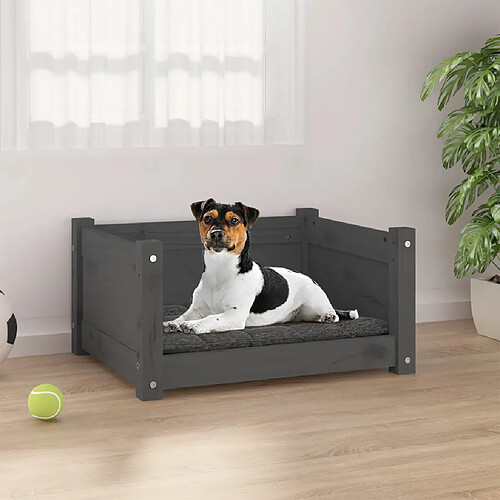 vidaXL Lit pour chien Gris 55,5x45,5x28 cm Bois massif de pin