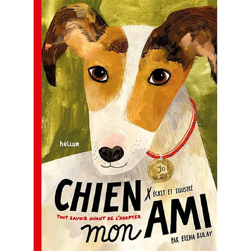 Chien, mon ami : tout savoir avant de l'adopter · Occasion