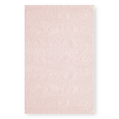 EPIKASA Tapis de Salon Rectangulaire Plush