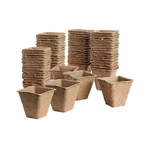 Westland Pots de plantation bio sans tourbe 80 pots - 6 cm - carrés.