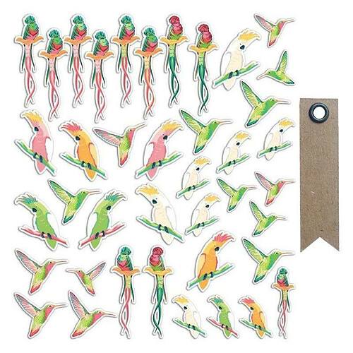 Youdoit 40 formes découpées Oiseaux tropicaux + 20 étiquettes kraft Fanion