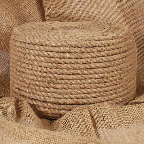 vidaXL Corde 100 % jute 12 mm 250 m