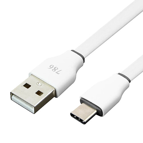 Avizar Câble USB vers USB type C 3m charge et synchronisation rapide - Blanc