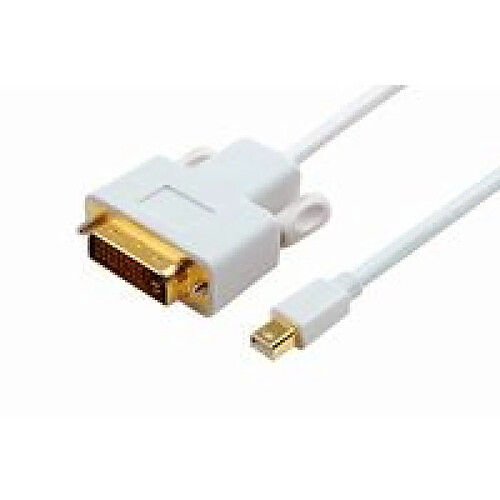 Disney Mini Displayport-DVI M-M DVI-D Dual Link 24+1, Passive White, Gold plated, 2M