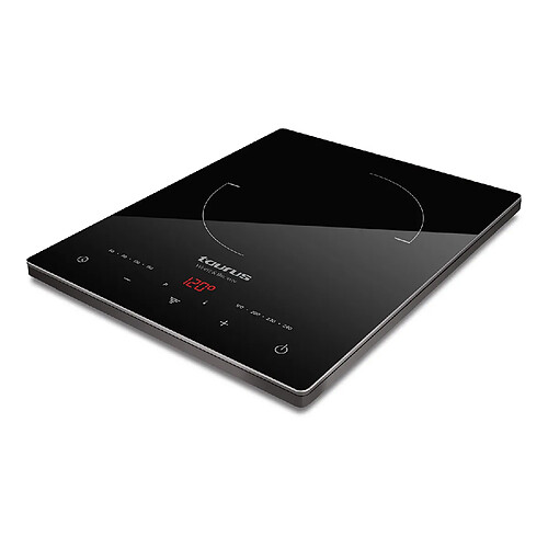 Table de cuisson à induction posable 2000w - darkfire daily - TAURUS