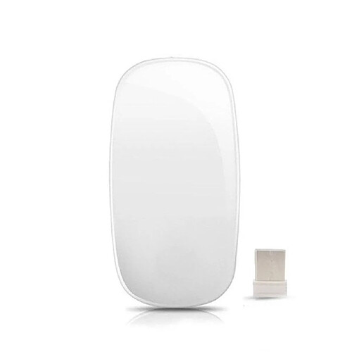 Universal Souris Bluetooth 2.4G pour Mac