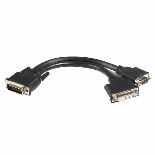 Startech Câble adaptateur LFH/DMS 59 vers DVI/VGA - 20 cm