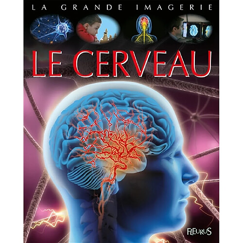 Le cerveau · Occasion