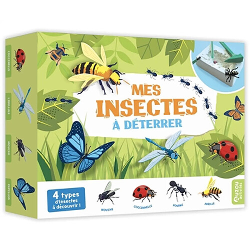 Mes insectes à déterrer