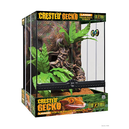 PT3779 - Kit Terrarium Gecko Large - Exo-Terra