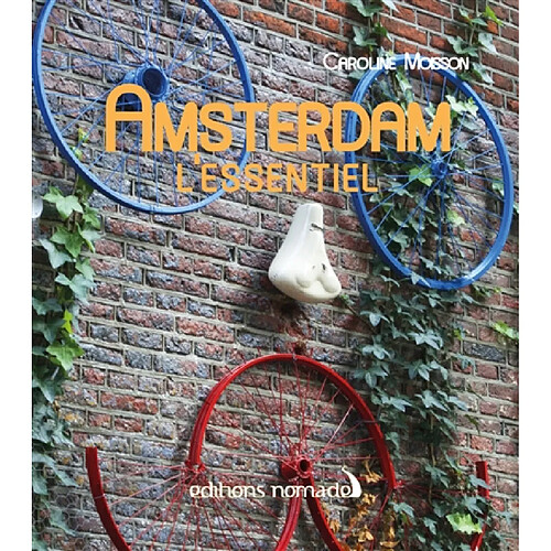 Amsterdam : l'essentiel · Occasion