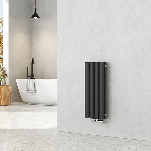 EMKE Radiateur à Eau Chaude, Radiateur Ovale Connexion Centrale, Montage Mural Vertical Design, Noir 60x24cm 248W Double Couche