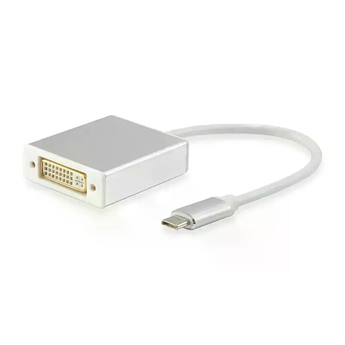 Équipement adaptateur USB-C - Dvi-I Dual Link M/F