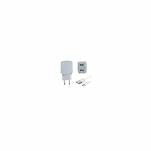 DLH Energy CHARGER 2 USB PORTS 12W WITH MICRO USB CABLE