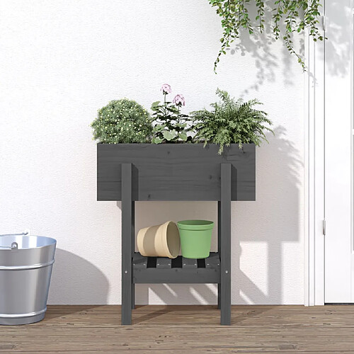 vidaXL Jardinière gris 62x30x69 cm bois massif de pin