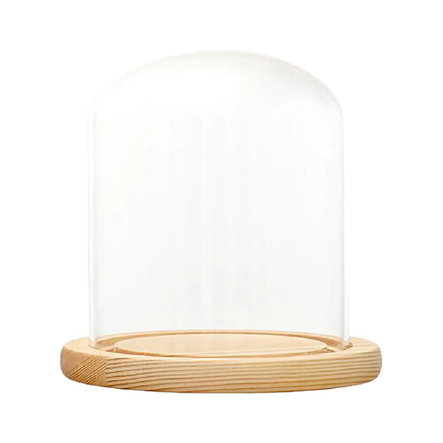 Dôme en verre transparent avec support en bois à LED Microlandscape Support E 12x12cm