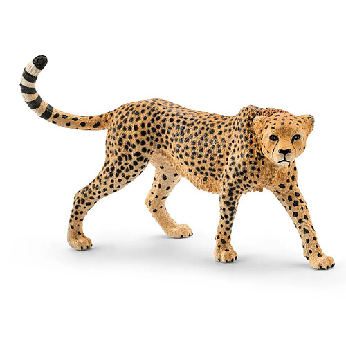 Schleich - schleich WILD LIFE Cheetah Female 14746 14746