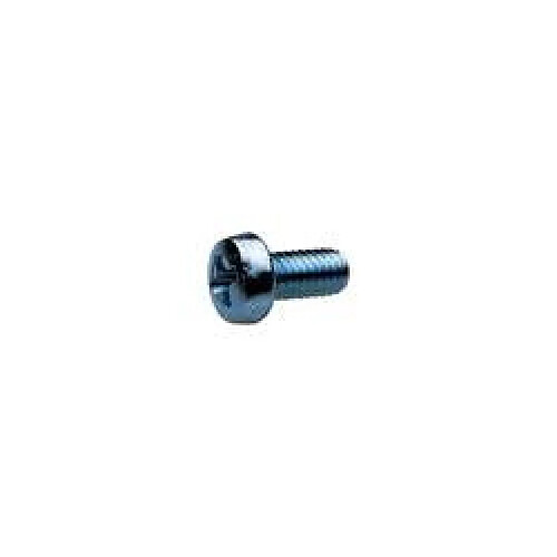 Vis à tête bombée TOOLCRAFT 839648 100 pc(s) M4 25 mm tête bombée cruciforme Philips acier DIN 7985