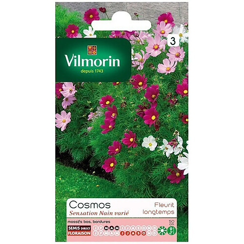 Vilmorin Sachet graines Cosmos sensation nain