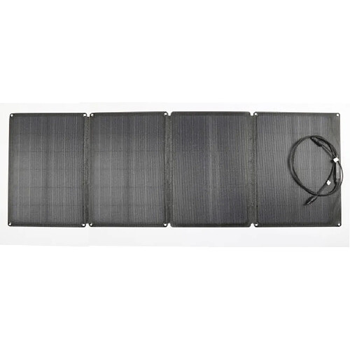 Centrale domotique Ecoflow 110W Solar Panel