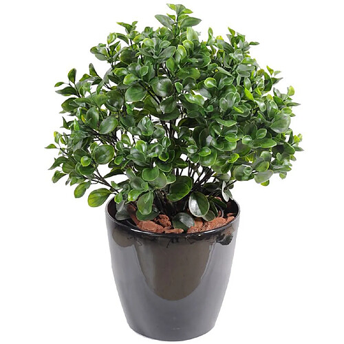 Pegane Plante artificielle haute gamme Spécial extérieur / Peperomia artificiel vert - Dim : 60 x 55 cm