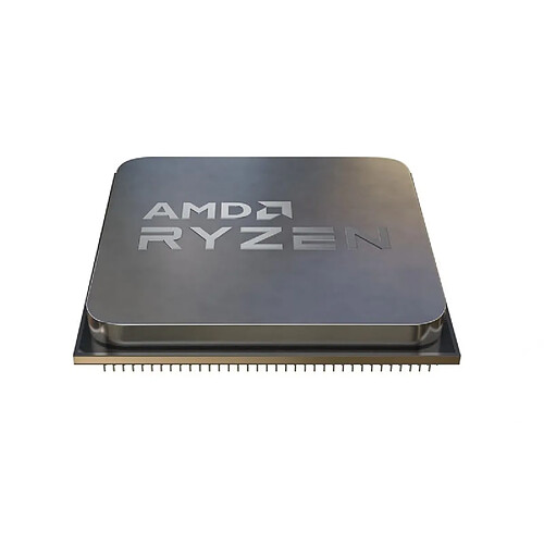 AMD Ryzen 5 5600G processeur 3,9 GHz 16 Mo L2 & L3