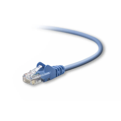 Belkin UTP CAT5e 0.5m câble de réseau 0,5 m U/UTP (UTP) Bleu