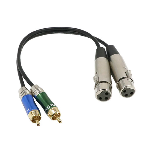 Câble d'Interconnexion 1ft Double XLR Femelle à 2-RCA Mâle Fiche