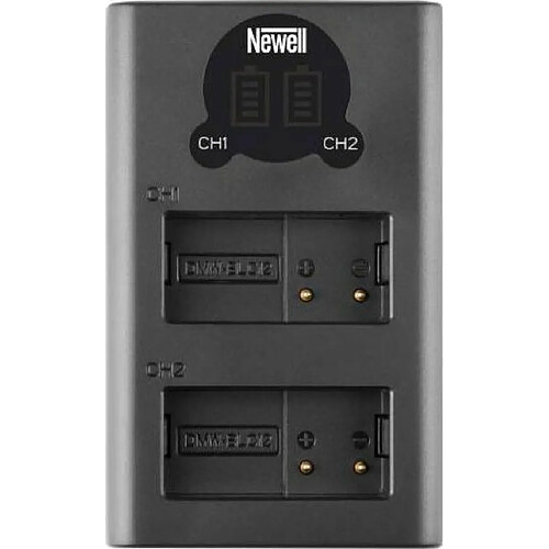 Newell Double Chargeur DL-USB-C pour DMW-BLF19