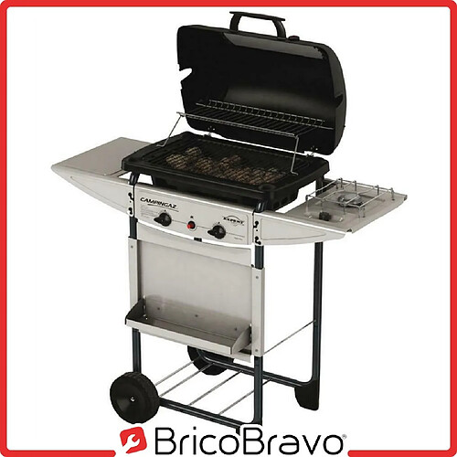 Campingaz Barbecue à gaz BBQ grille four tablette latérale roues jardin EXPERT DELUXE