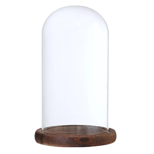 Cloche à Dôme En Verre Avec Base En Bois, Support Pour Paysage De Fleurs, Couvercle Brun D