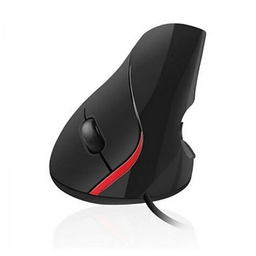 Souris Optique Ergonomique Ewent EW3156 1000 dpi USB Noir