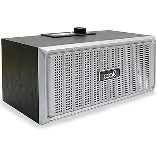 Haut-parleurs bluetooth portables Cool Retro Argenté 20 W