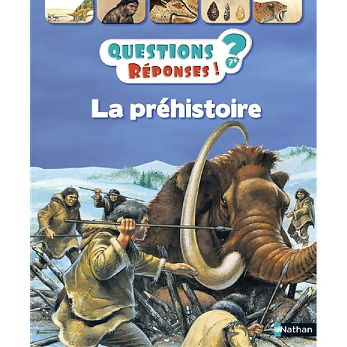 La préhistoire · Occasion