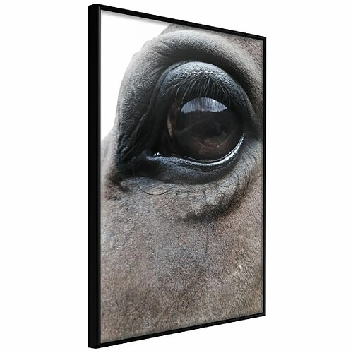 Paris Prix Affiche Murale Encadrée Gentle Eyes 30 x 45 cm Noir