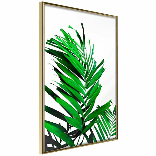 Paris Prix Affiche Murale Encadrée Emerald Palm 40 x 60 cm Or