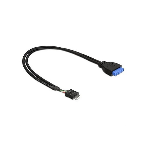 Câble Interne USB 2.0 vers USB 3.0 DELOCK 83792 0,6 m Prise Mâle Prise Femelle