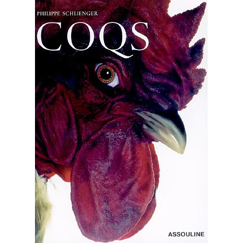 Coqs · Occasion