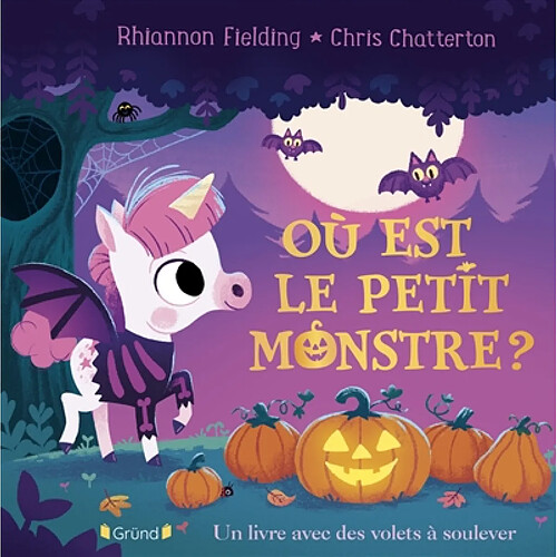 Où est le petit monstre ? : un livre avec des volets à soulever