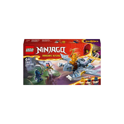 LEGO NINJAGO LEGO® Ninjago® 71810 Le jeune dragon Riyu