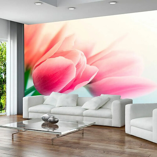 Paris Prix Papier Peint Printemps & Tulipes 193 x 250 cm