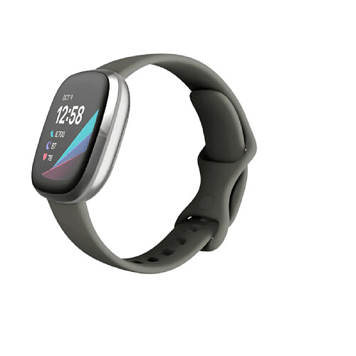 Fitbit FB512SRSG Montre Intelligente 1.58? Bluetooth Synthetic IOS Android Gris Argent