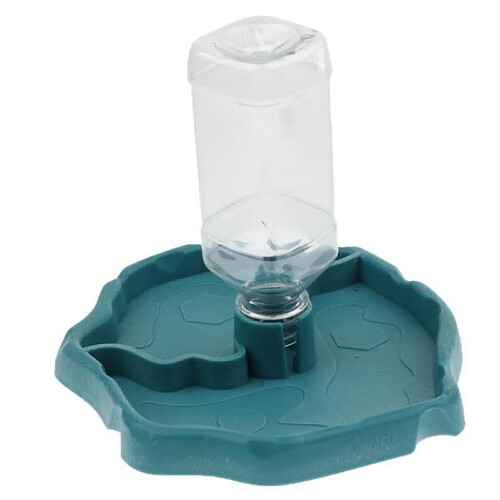 Distributeur d'eau pour chien chat Reptile tortue