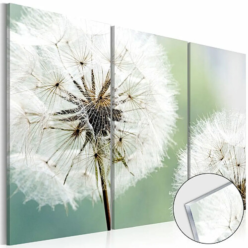 Paris Prix Tableau sur Verre Acrylique Fluffy Dandelions 80 x 120 cm